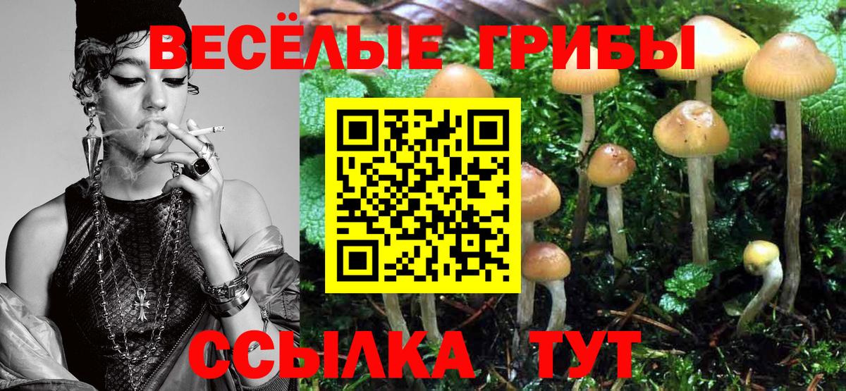Гашиш Губкин