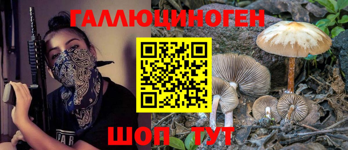 Галлюциногенные грибы мухоморы Губкин
