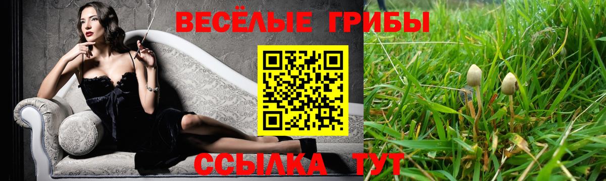Губкин  хочу наркоту  Вход с VPN  Галлюциногенные грибы ЛСД 